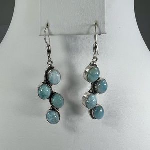 Chic Silver and Blue Dangle Earrings